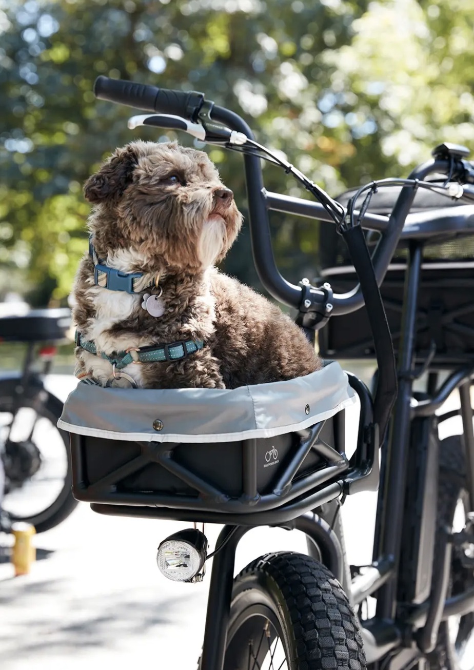 A dog in a Rad Power ebike basket.