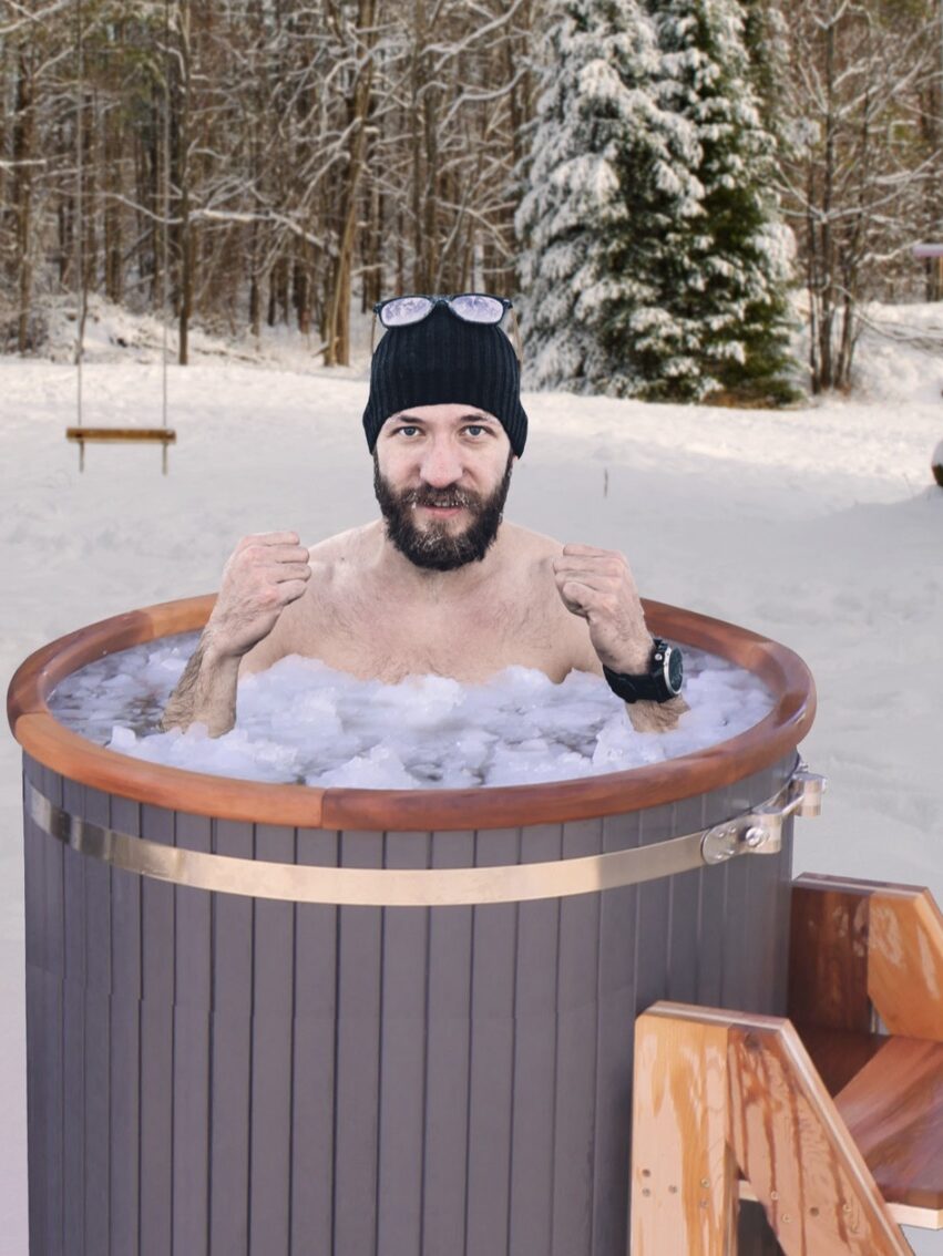 A model in a cold bath from Aleko