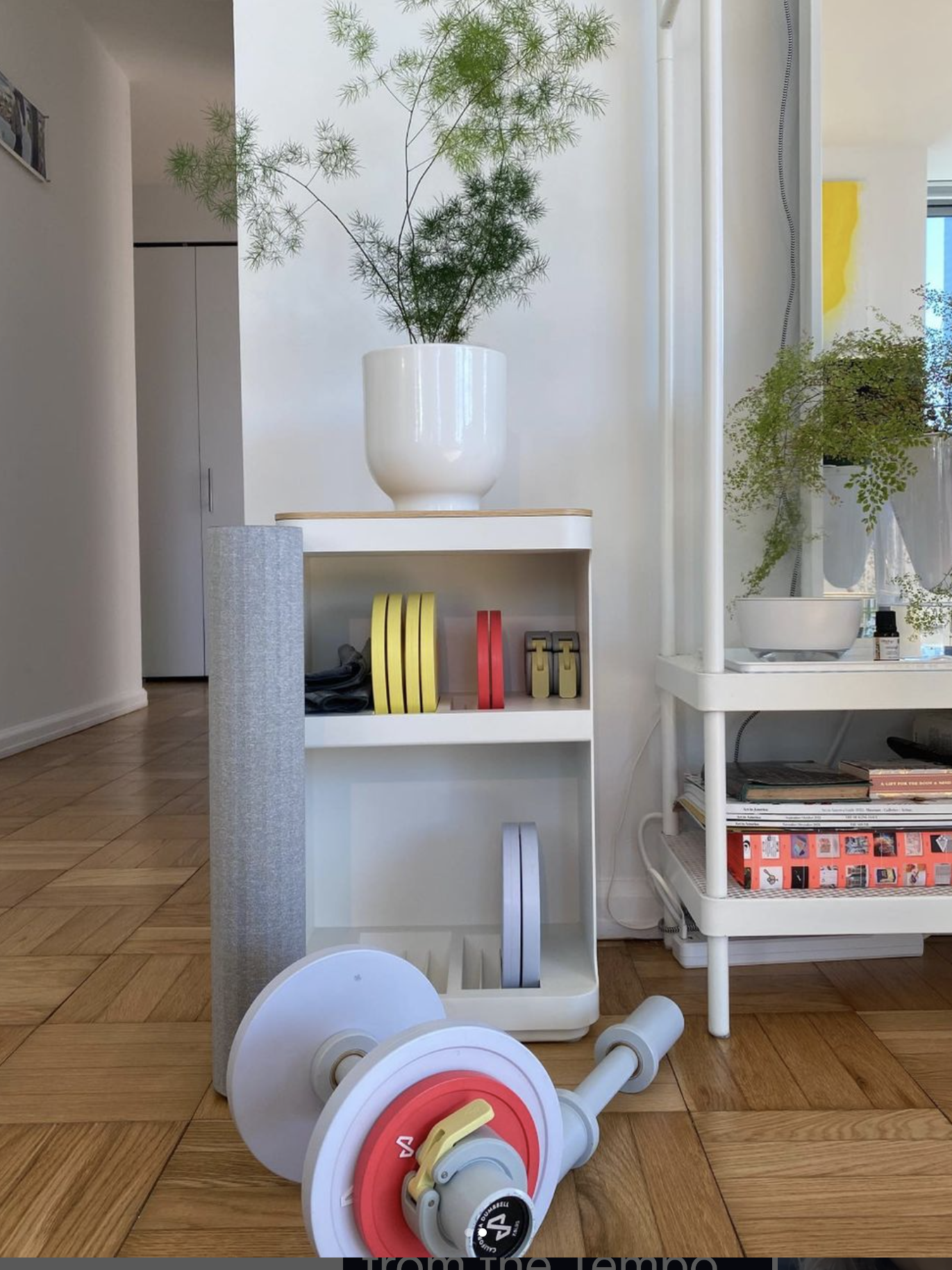 A tidy room corner with a white shelf holding books and a plant.