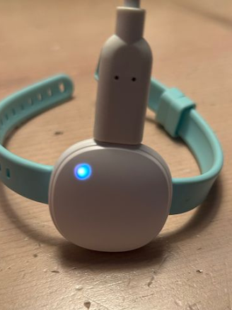 A wearable electronic device with a blue strap and a glowing blue indicator light.