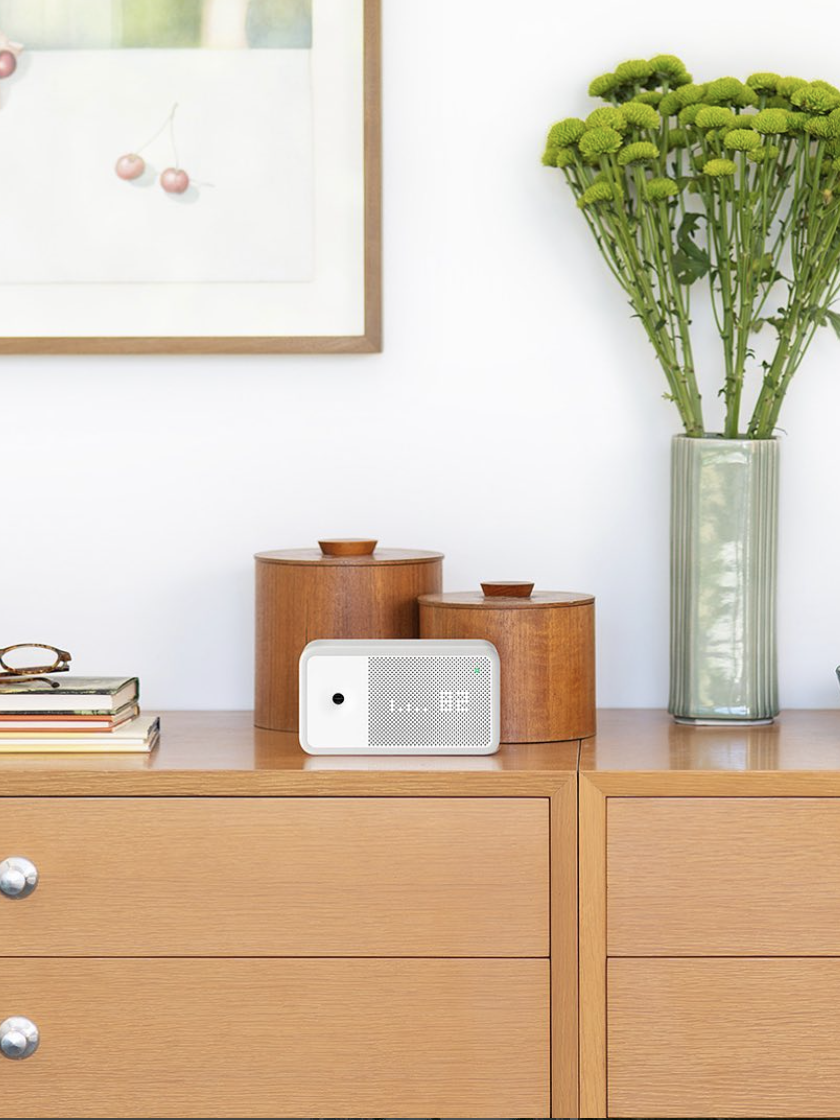 A smart home speaker on a wooden cabinet sits next to books, wooden containers, and a vase with green flowers.