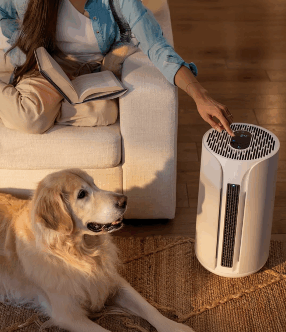 A person sitting on a couch with a book adjusts an air purifier while a golden retriever lies on a rug nearby, and massage guns rest within easy reach for relaxation.
