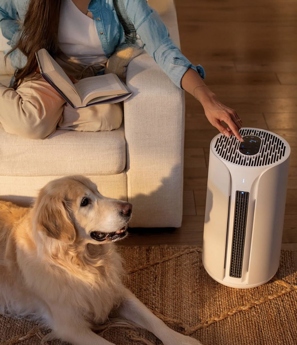 A person sitting on a couch with a book adjusts an air purifier while a golden retriever lies on a rug nearby, and massage guns rest within easy reach for relaxation.