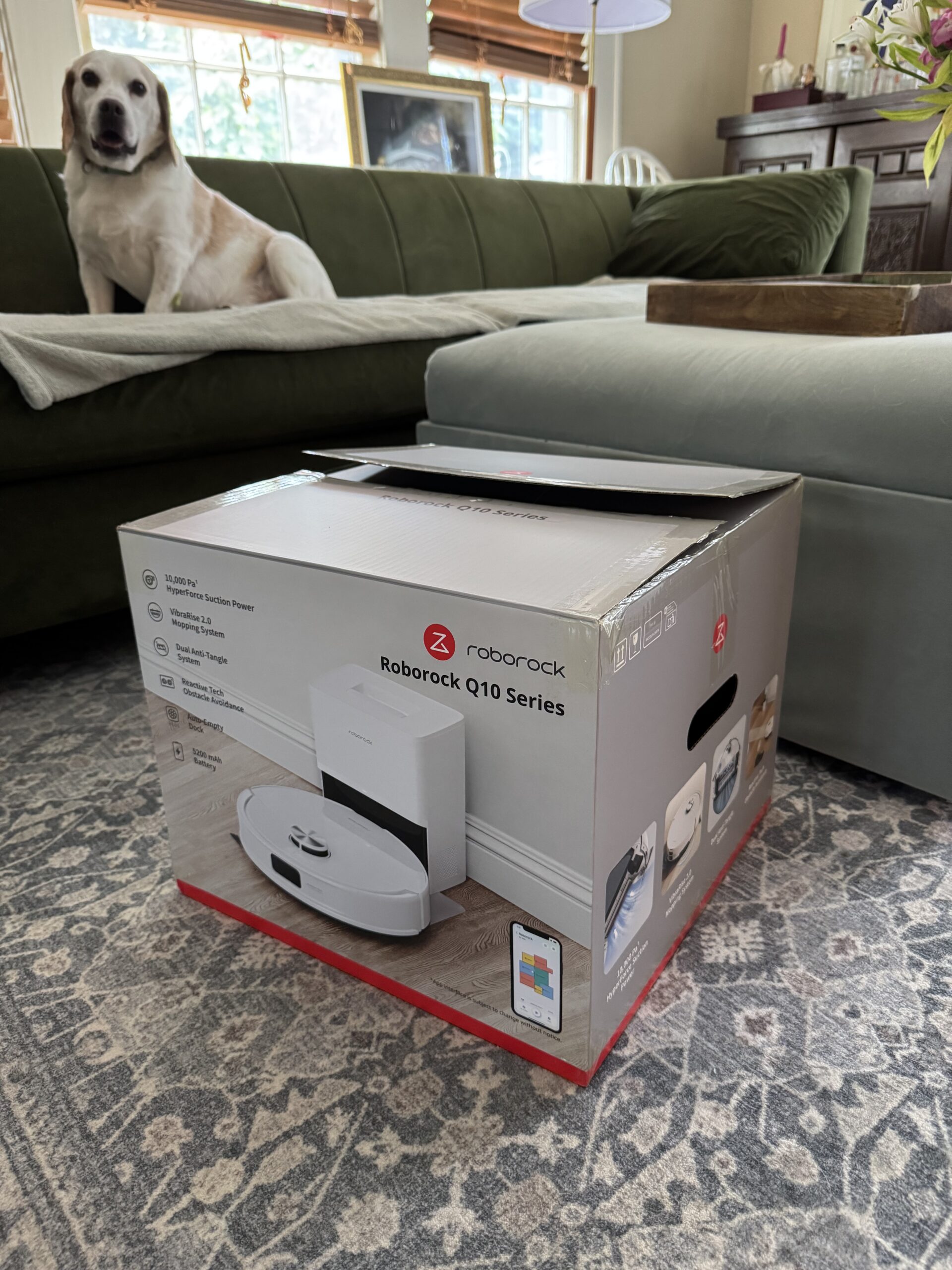 A Roborock Q10 Series robot vacuum box sits on a patterned rug in a living room, with a dog on a green sofa in the background.