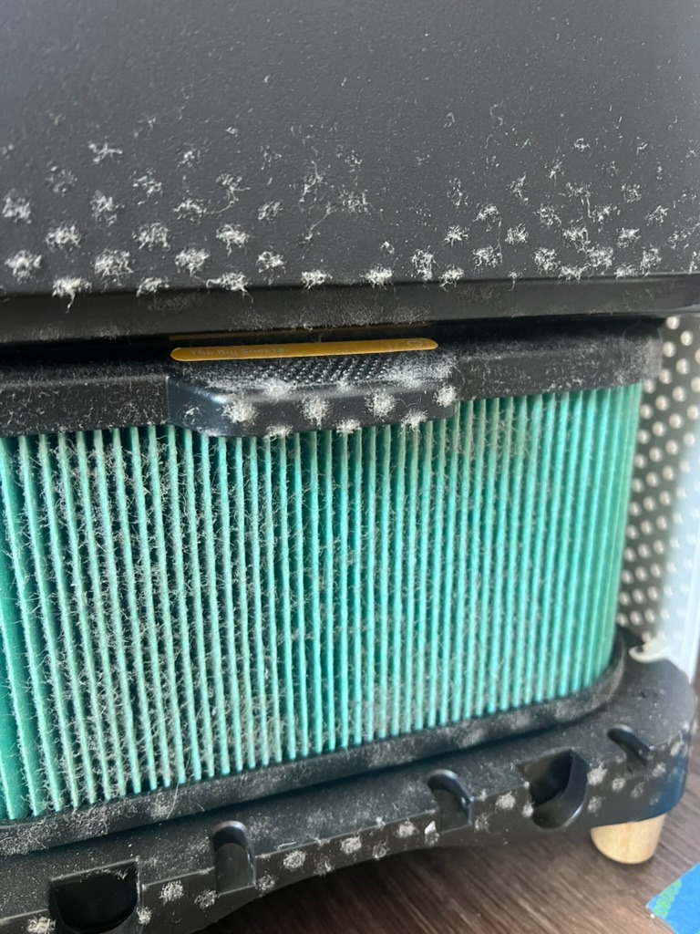 A close-up of a dusty and dirty air filter with visible dust accumulation on its surface and surrounding area.