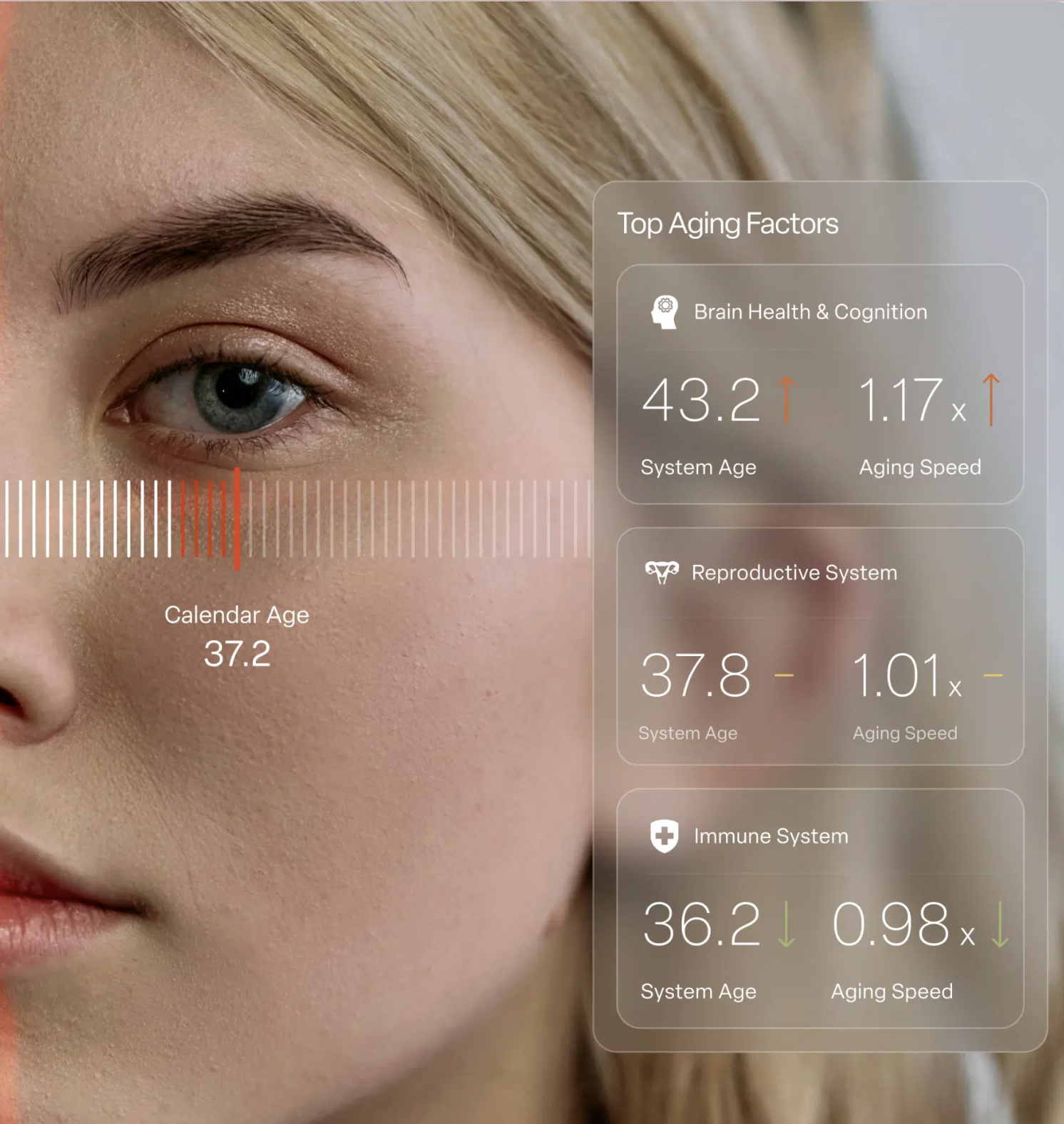 Close-up of a woman's face overlaid with digital graphics showing her calendar age, system ages, aging speeds, and the top aging factors for brain, reproductive, and immune systems—plus insights on wellness tools like massage guns.