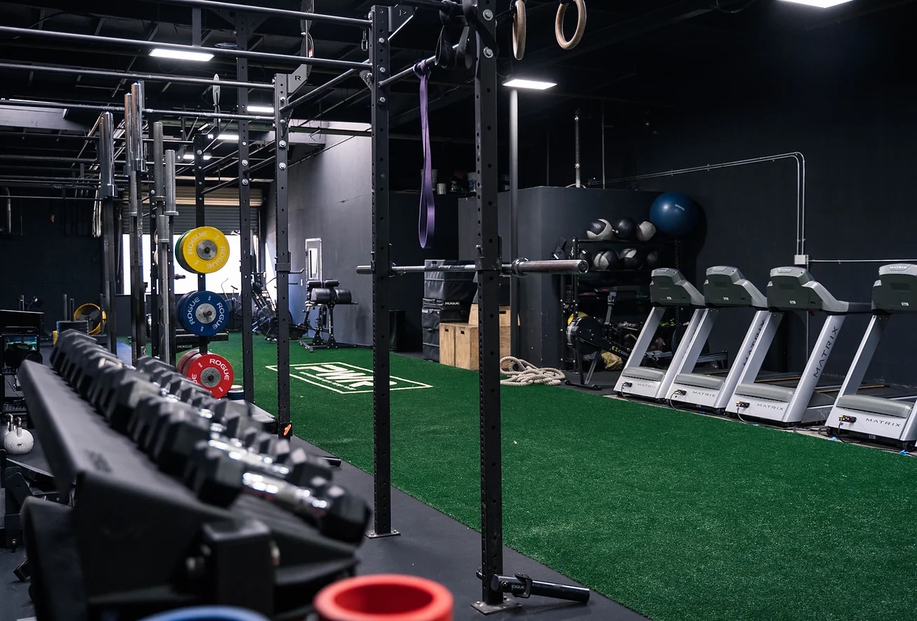 A gym with dumbbells, weight plates, squat racks, treadmills, stability balls, and artificial turf for functional training.