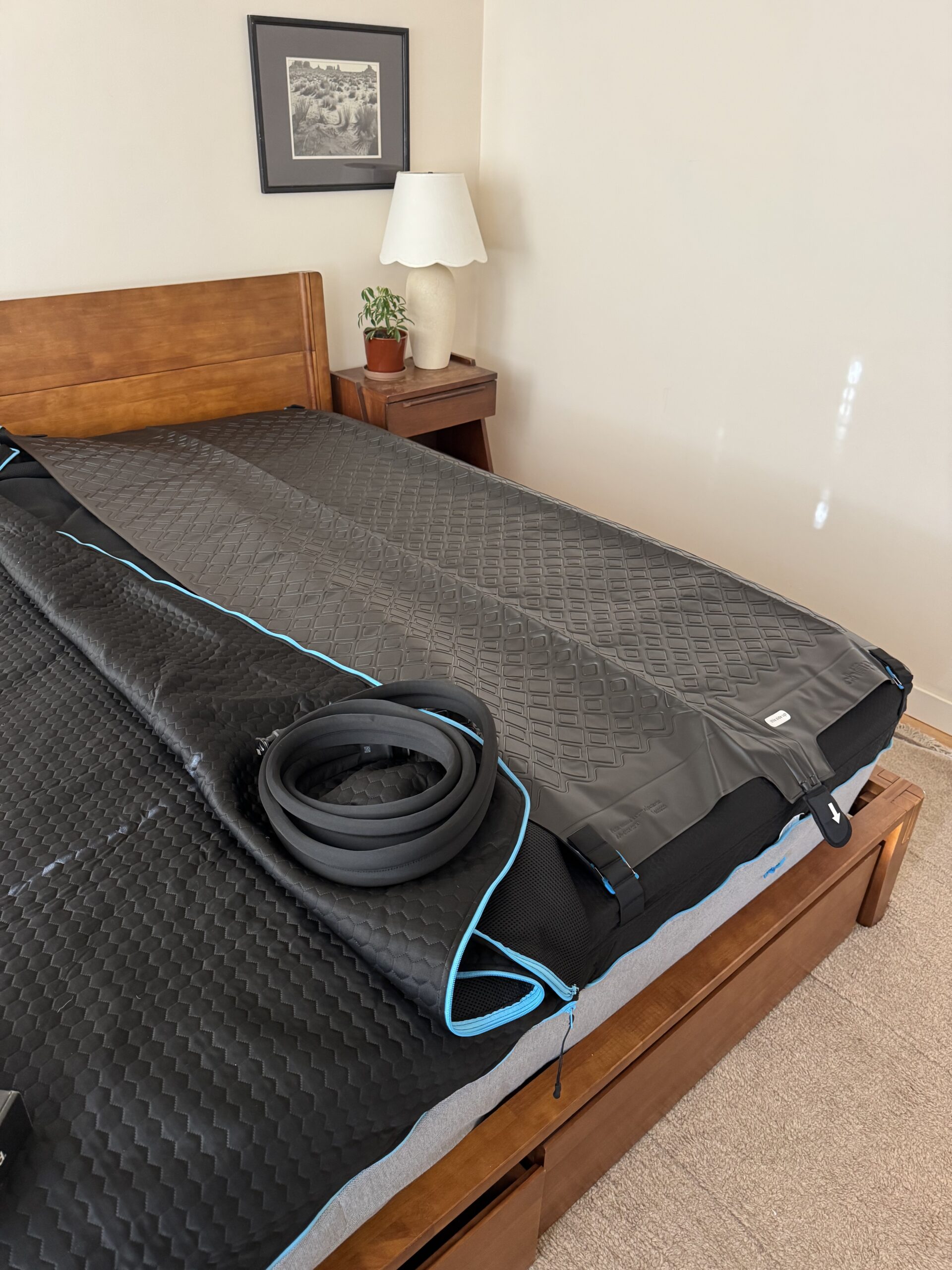 A mattress with a black quilted cover and blue trim is on a wooden bed frame, with a coiled hose on top. A nightstand with a lamp and plant is beside the bed.